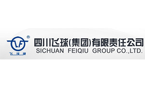 四(si)川飛球(qiú)（集團）有(yǒu)限責任(rèn)公司
