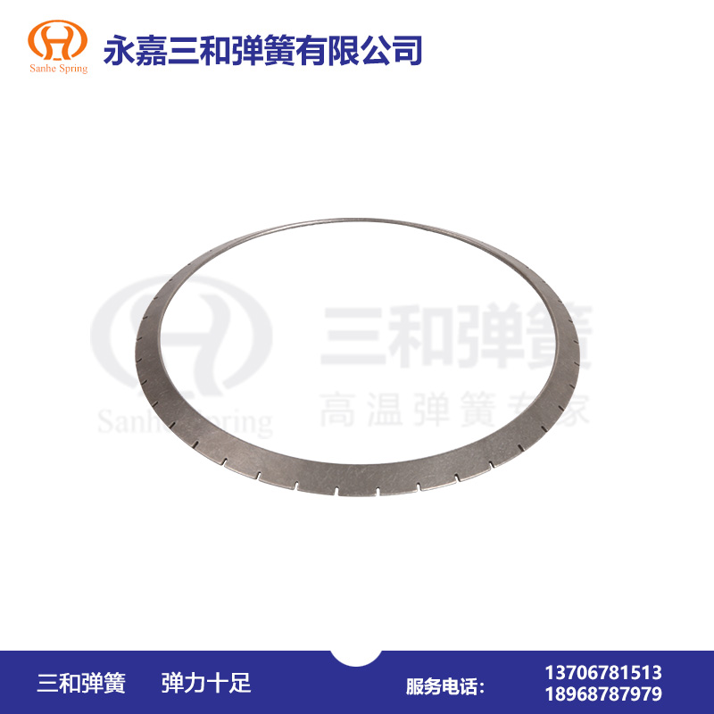 耐(nài)硫酸腐蝕(shi)彈簧