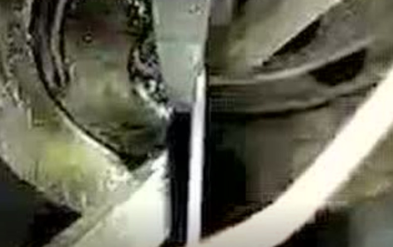 三和彈(dan)簧--不鏽鋼拉簧(huang)